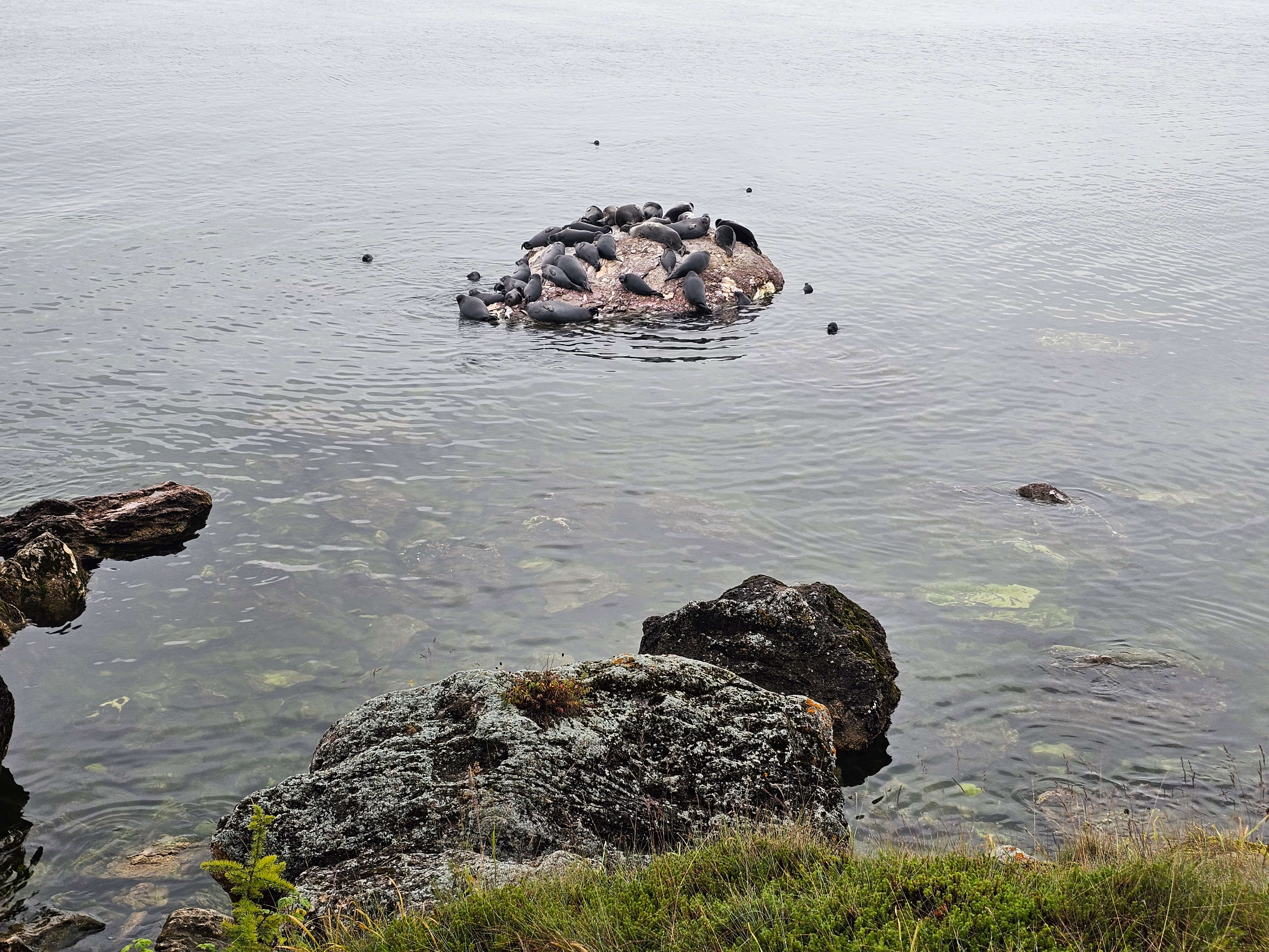 Baikal